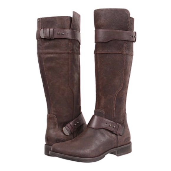 ugg dayle boot